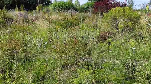 Überblick über das Versuchsgelände In Weinheim.