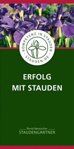 Flyer: Kompetenz in Stauden