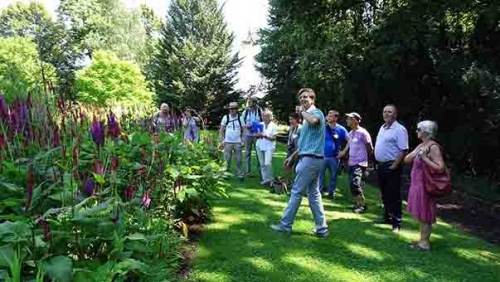 In diesem Beet wurden aus verschiedenen Sortimenten nur die besten Sorten gepflanzt.