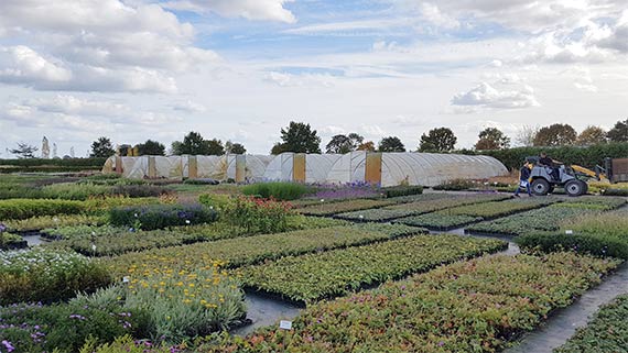 Klare Strukturen, gute Etikettierung und arbeitswirtschaftliche Wege zeichnen Vorzeigebetriebe aus.