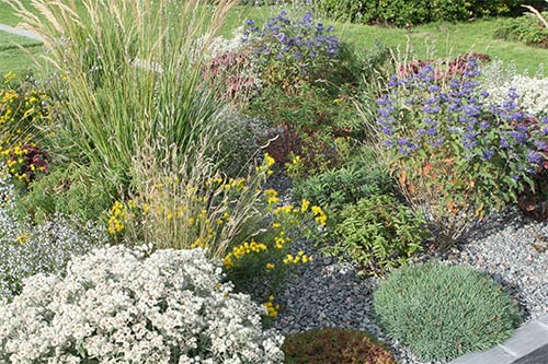 Diese Pflanzung zeigt ein wünschenswertes Wuchsverhalten in einer Staudenmischung.