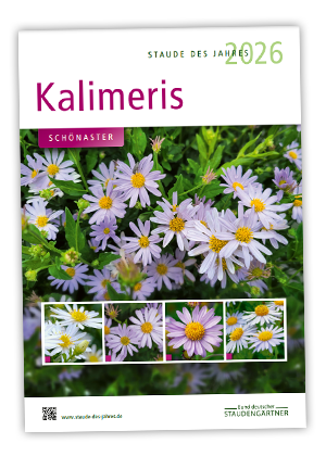 Plakat: Staude des Jahres 2026