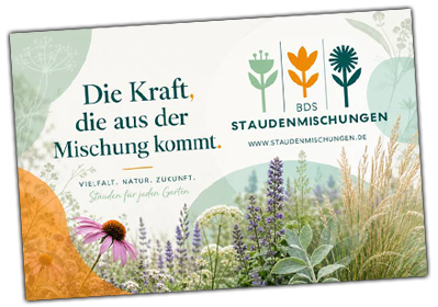 Die Kraft, die aus der Mischung kommt
