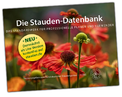 Stauden-Datenbank